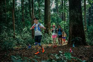 BIB: 
                            <button type="button" onclick="openModal(26128341)" class="btn btn-primary btn-sm float-right btn-popup" data-toggle="modal" data-target=".modal-high-quality">
                        <i class="fas fa-shopping-cart"></i> Add to Cart
                    </button>
                                            <button type="button" onclick="isThisMe(26128341, true)" class="btn btn-success btn-sm float-right btn-popup btn-isme hidden" data-toggle="tooltip" data-placement="bottom" title="นี่คือรูปของคุณใช่ไหม คลิกที่นี่เพื่อเอาเข้าอัลบั้ม">
                        <i class="fas fa-plus"></i> Add to album
                    </button>
                    <button type="button" onclick="isThisMe(26128341, false)" class="btn btn-warning btn-sm float-right btn-popup btn-isnotme hidden">
                        <i class="fas fa-ban"></i> Remove from album
                    </button>